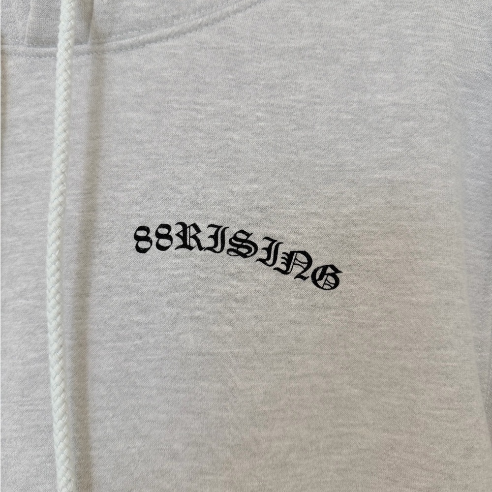 88Rising Essentials Gray Graphic Hoodie Tiger Back Print Streetwear Unisex Small - Picture 3 of 7